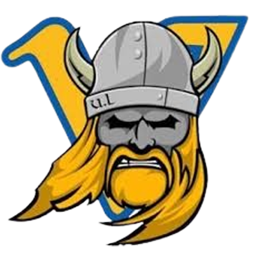 Limerick Vikings Logo